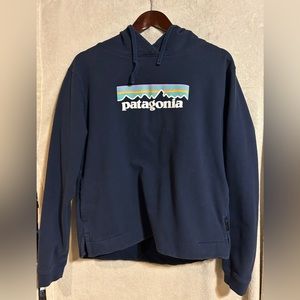 Rare Women’s Pastel Patagonia Sweatshirt